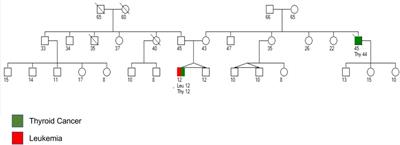 Case report: Tisagenlecleucel for treatment of relapsed B- acute lymphoblastic leukemia in a patient with CHEK2 mutation